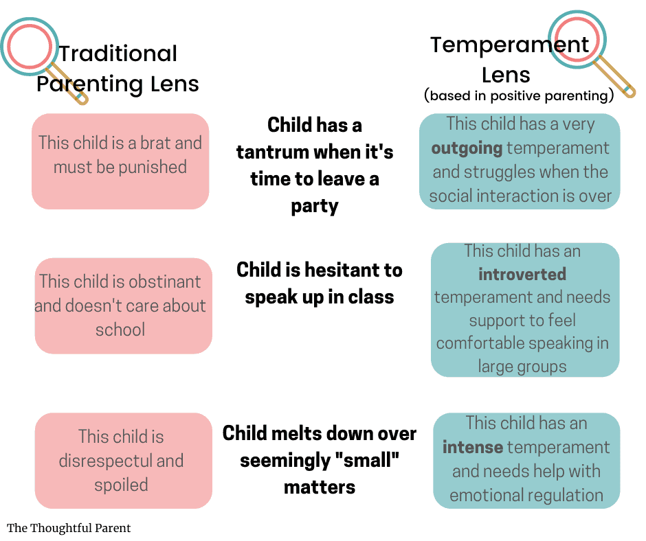 understanding temperament