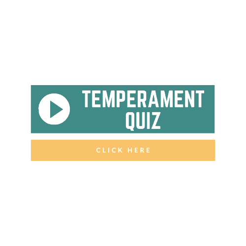 temperament quiz